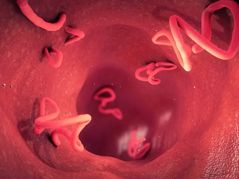 Natuprost combate vermes intestinais